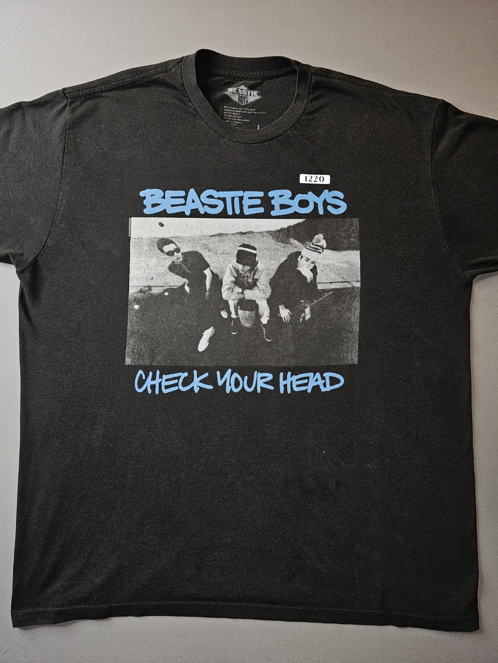 Official Beastie Boys Check Your Head Album Cover Graphic T-Shirt
